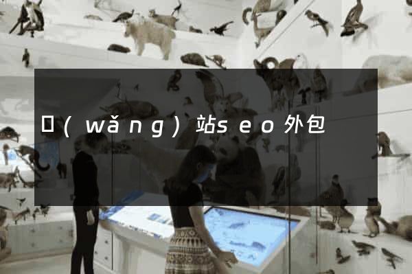 網(wǎng)站seo外包