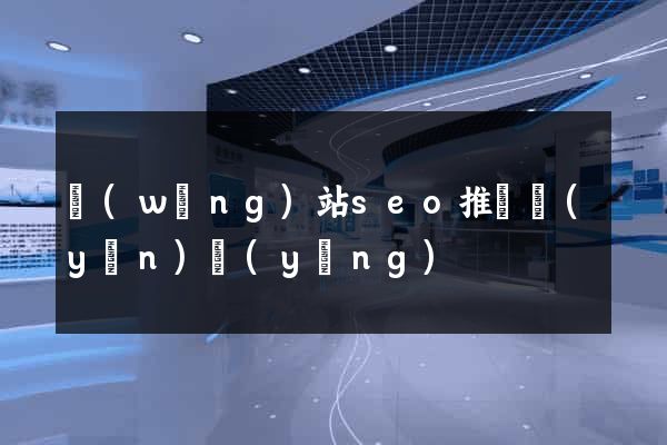 網(wǎng)站seo推廣運(yùn)營(yíng)