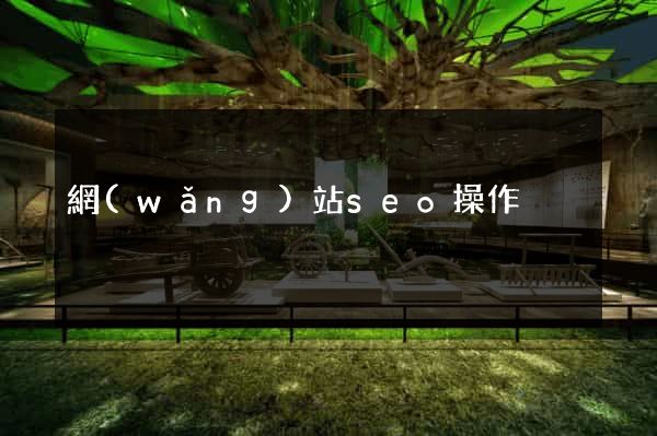 網(wǎng)站seo操作