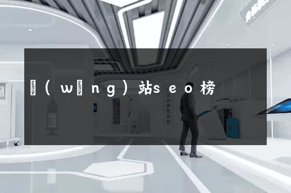網(wǎng)站seo榜