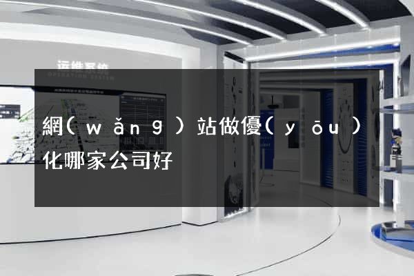 網(wǎng)站做優(yōu)化哪家公司好