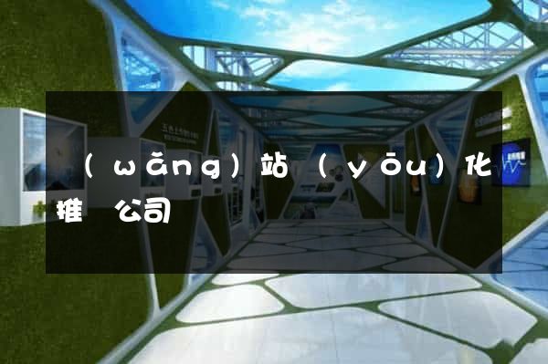 網(wǎng)站優(yōu)化推廣公司