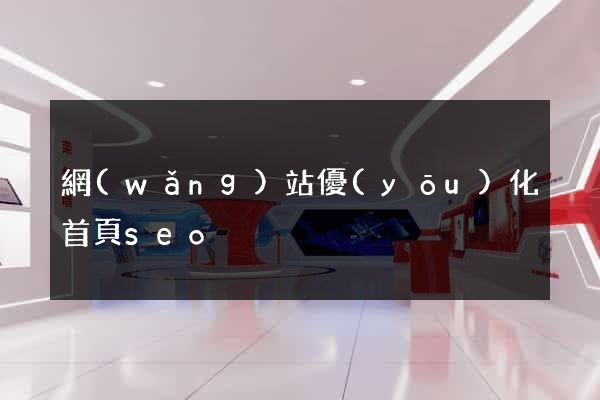 網(wǎng)站優(yōu)化首頁seo