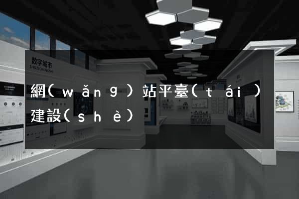 網(wǎng)站平臺(tái)建設(shè)