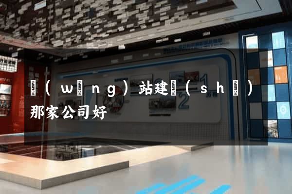 網(wǎng)站建設(shè)那家公司好