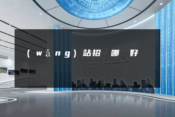網(wǎng)站招標哪個好
