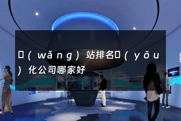 網(wǎng)站排名優(yōu)化公司哪家好