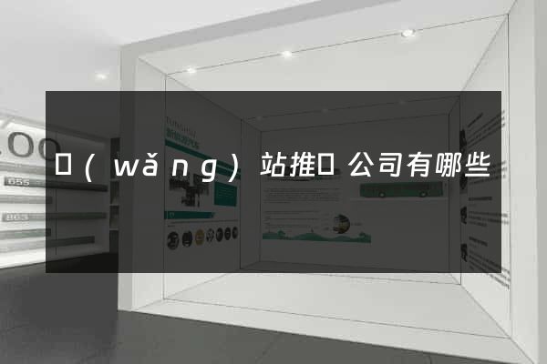 網(wǎng)站推廣公司有哪些