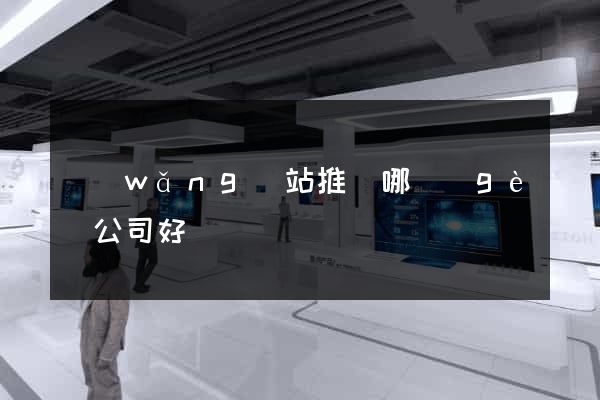 網(wǎng)站推廣哪個(gè)公司好