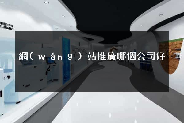 網(wǎng)站推廣哪個公司好