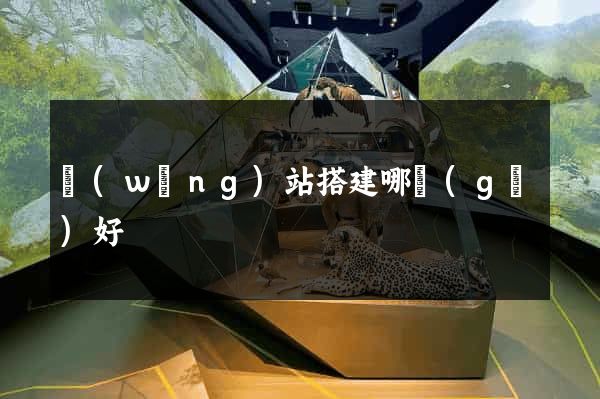 網(wǎng)站搭建哪個(gè)好