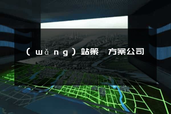 網(wǎng)站策劃方案公司
