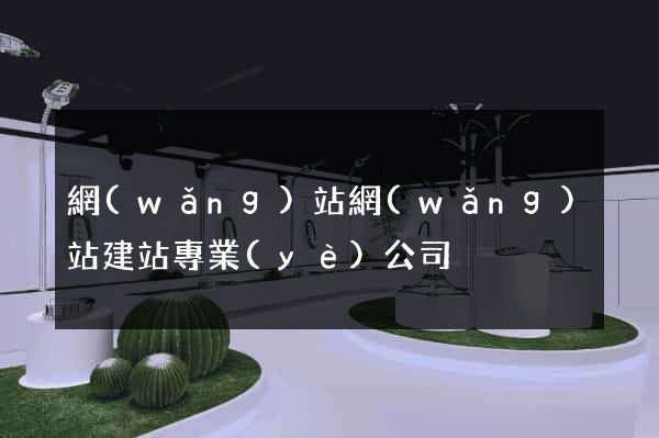網(wǎng)站網(wǎng)站建站專業(yè)公司