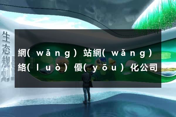 網(wǎng)站網(wǎng)絡(luò)優(yōu)化公司
