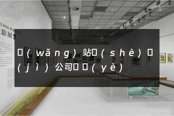 網(wǎng)站設(shè)計(jì)公司專業(yè)