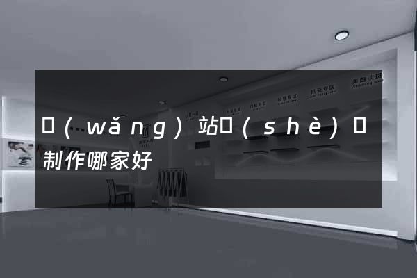 網(wǎng)站設(shè)計制作哪家好
