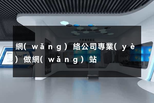 網(wǎng)絡公司專業(yè)做網(wǎng)站