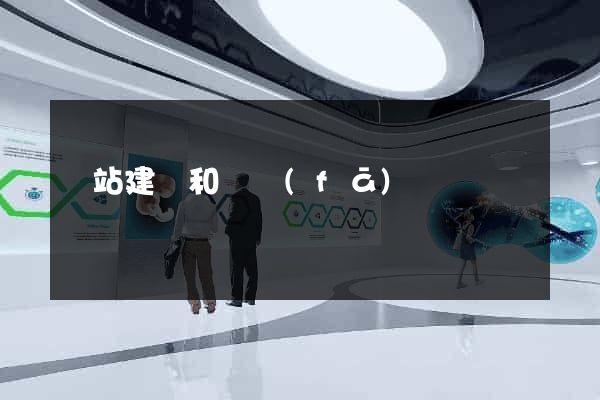 網站建設和開發(fā)