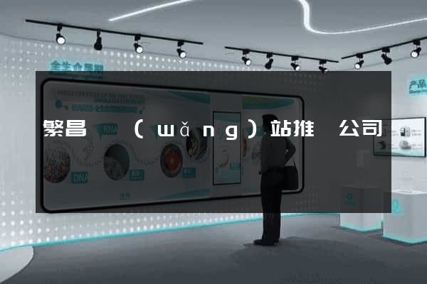 繁昌縣網(wǎng)站推廣公司