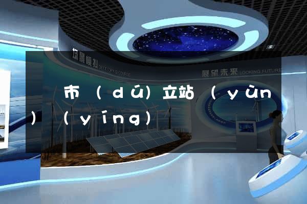 義烏市獨(dú)立站運(yùn)營(yíng)
