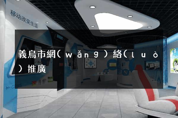 義烏市網(wǎng)絡(luò)推廣