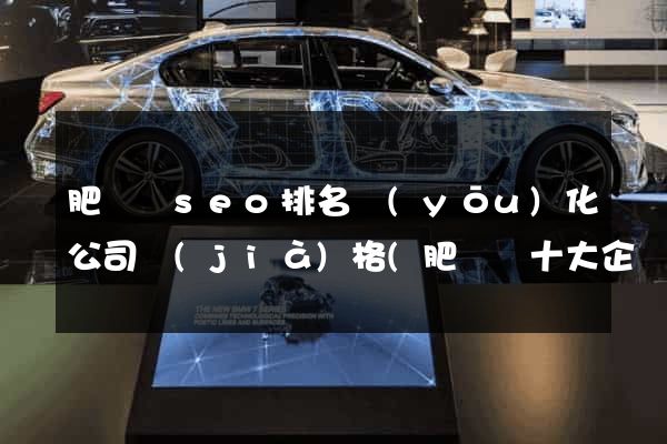 肥東縣seo排名優(yōu)化公司價(jià)格(肥東縣十大企業(yè)排名)