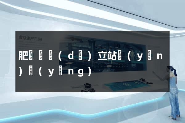 肥東縣獨(dú)立站運(yùn)營(yíng)