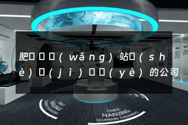 肥東縣網(wǎng)站設(shè)計(jì)專業(yè)的公司