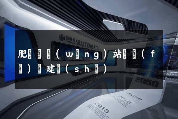 肥東縣網(wǎng)站開發(fā)與建設(shè)