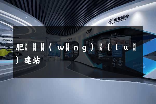 肥東縣網(wǎng)絡(luò)建站