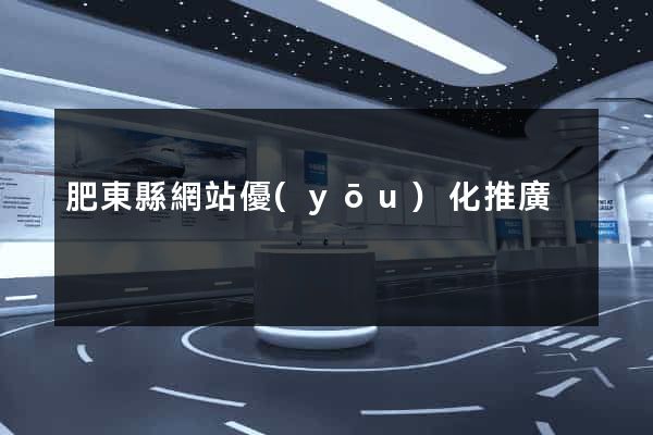 肥東縣網站優(yōu)化推廣