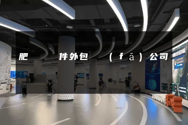 肥東縣軟件外包開發(fā)公司