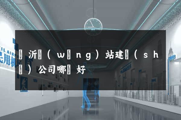 臨沂網(wǎng)站建設(shè)公司哪個好