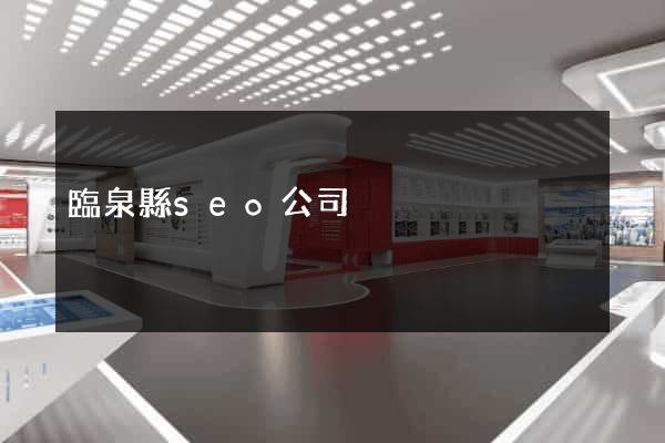 臨泉縣seo公司