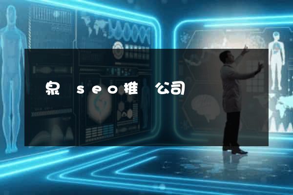臨泉縣seo推廣公司