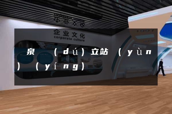 臨泉縣獨(dú)立站運(yùn)營(yíng)