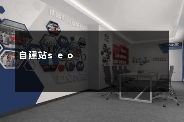 自建站seo