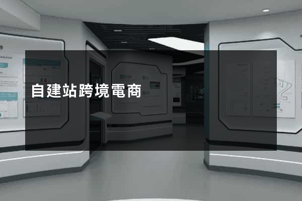 自建站跨境電商