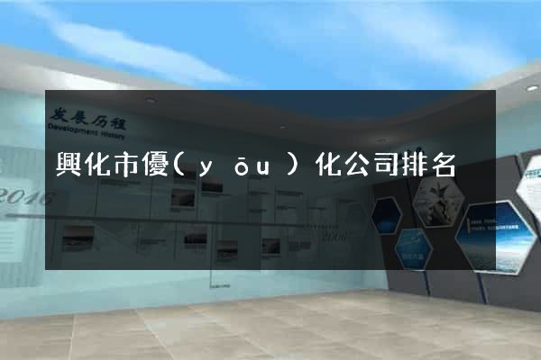 興化市優(yōu)化公司排名