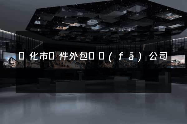 興化市軟件外包開發(fā)公司