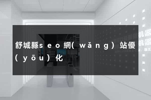 舒城縣seo網(wǎng)站優(yōu)化