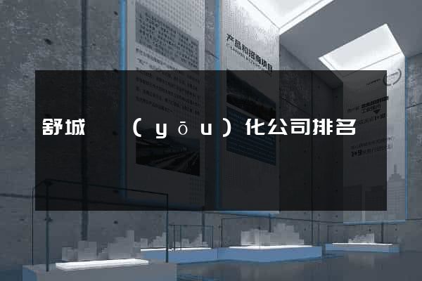 舒城縣優(yōu)化公司排名