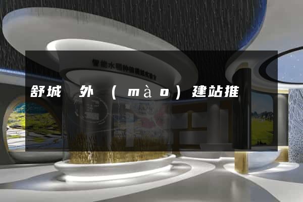 舒城縣外貿(mào)建站推廣