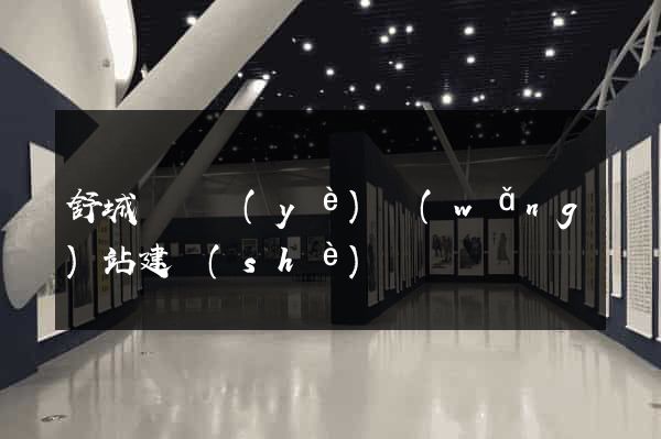 舒城縣專業(yè)網(wǎng)站建設(shè)