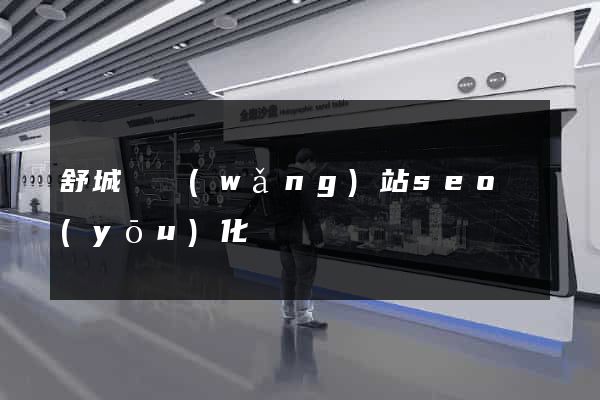 舒城縣網(wǎng)站seo優(yōu)化