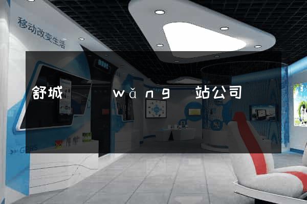 舒城縣網(wǎng)站公司