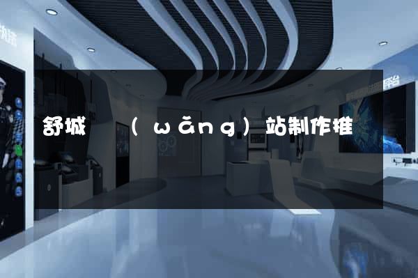 舒城縣網(wǎng)站制作推廣