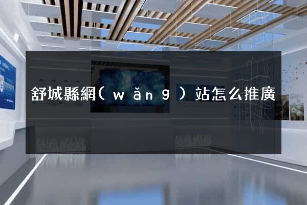 舒城縣網(wǎng)站怎么推廣