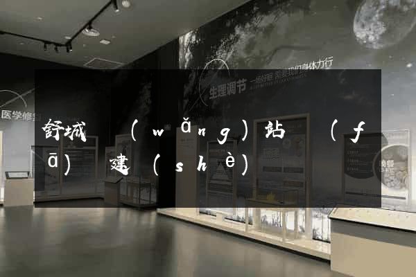 舒城縣網(wǎng)站開發(fā)與建設(shè)