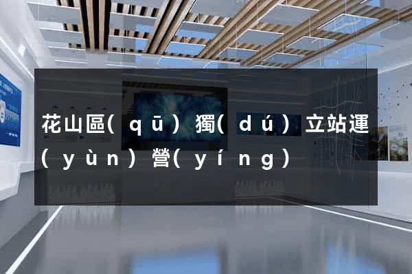 花山區(qū)獨(dú)立站運(yùn)營(yíng)
